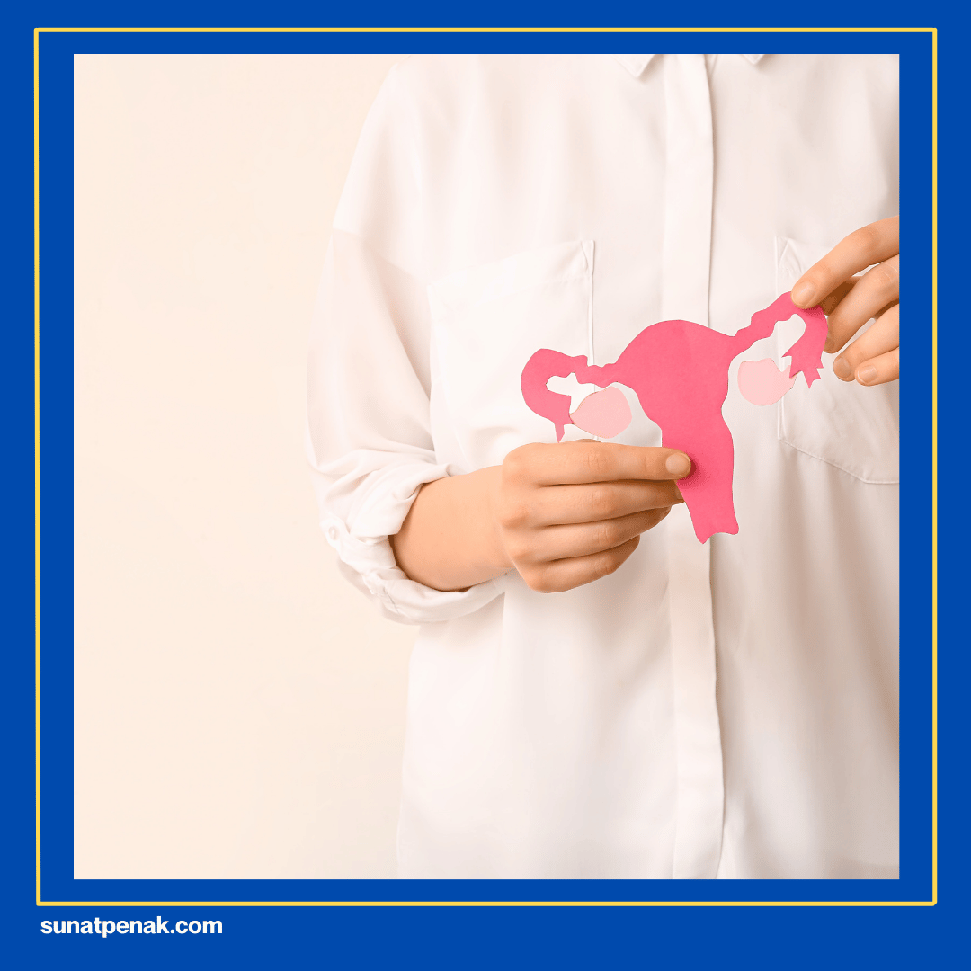 Gangguan Selama Perkembangan Janin