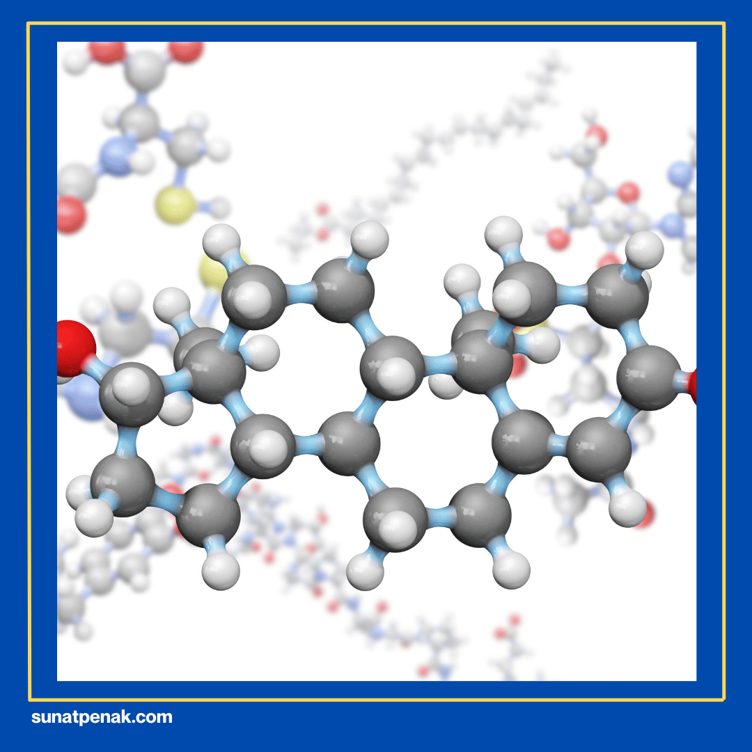 Mendukung Produksi Hormon Testosteron