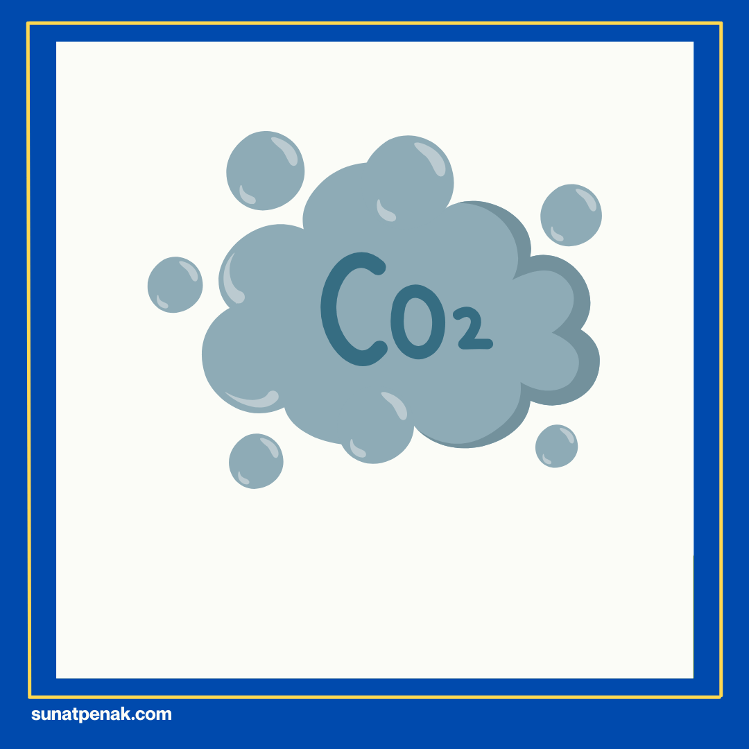 Paparan Polutan Lingkungan