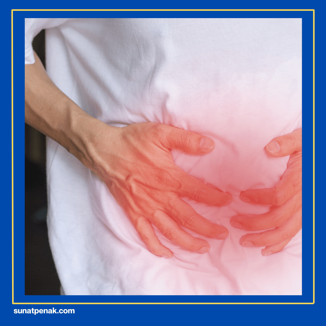 Perlindungan Mekanis Testis dan Organ Dalam