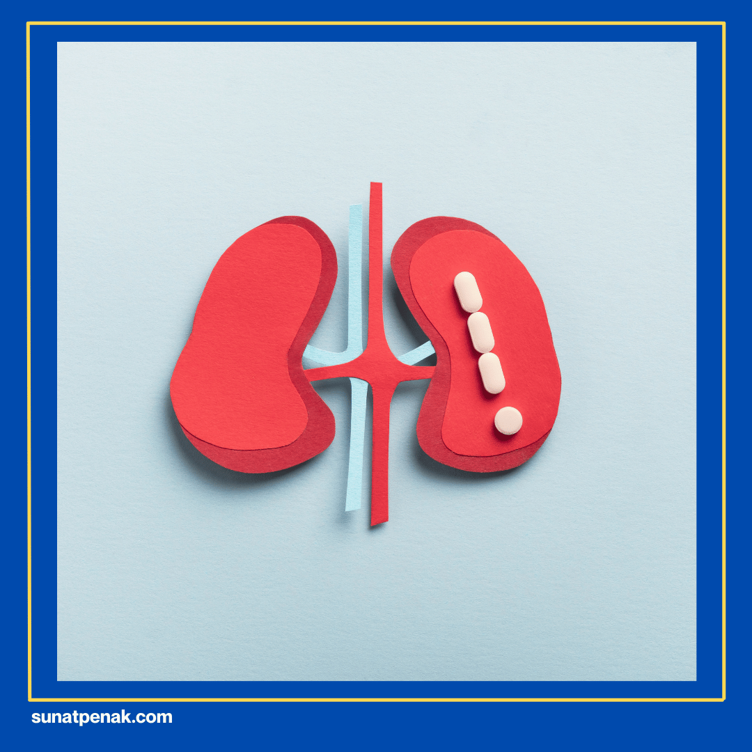 Batu Ginjal atau Kandung Kemih