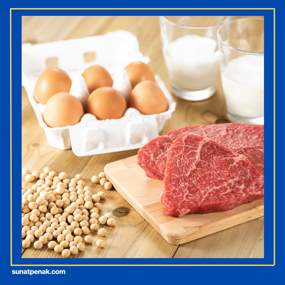 Makanan Kaya Protein