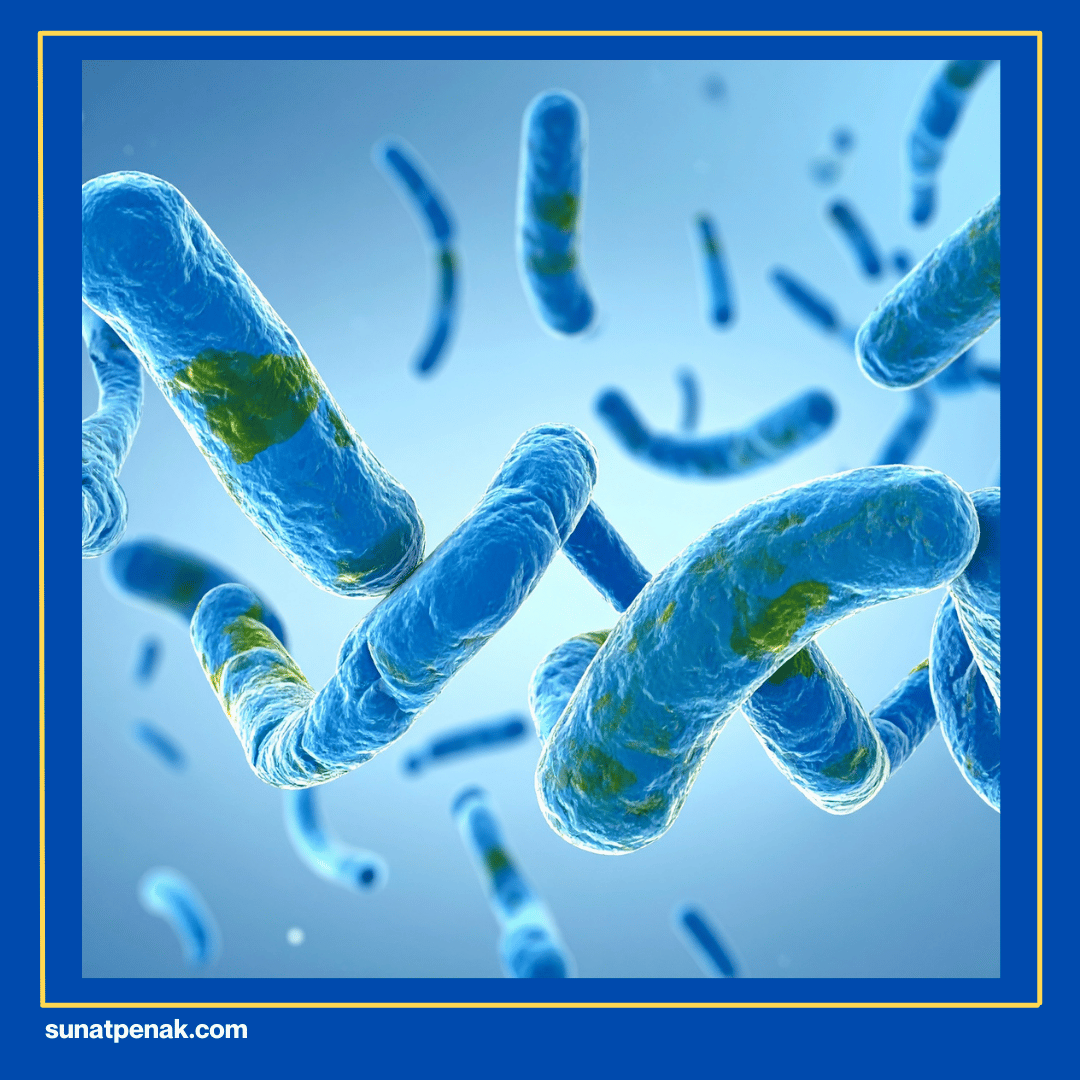 Menekan Pertumbuhan Bakteri