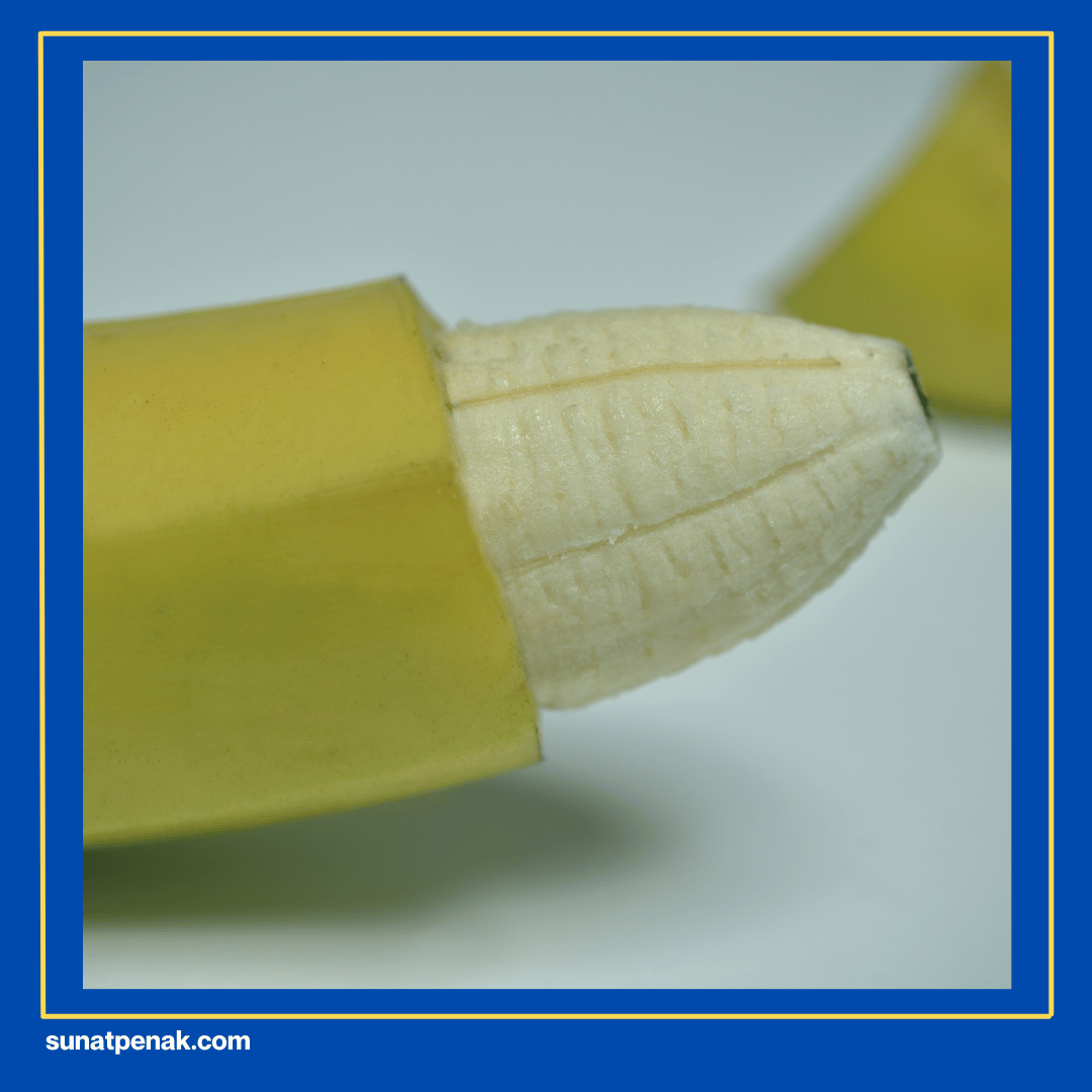 Perubahan Warna Kulup