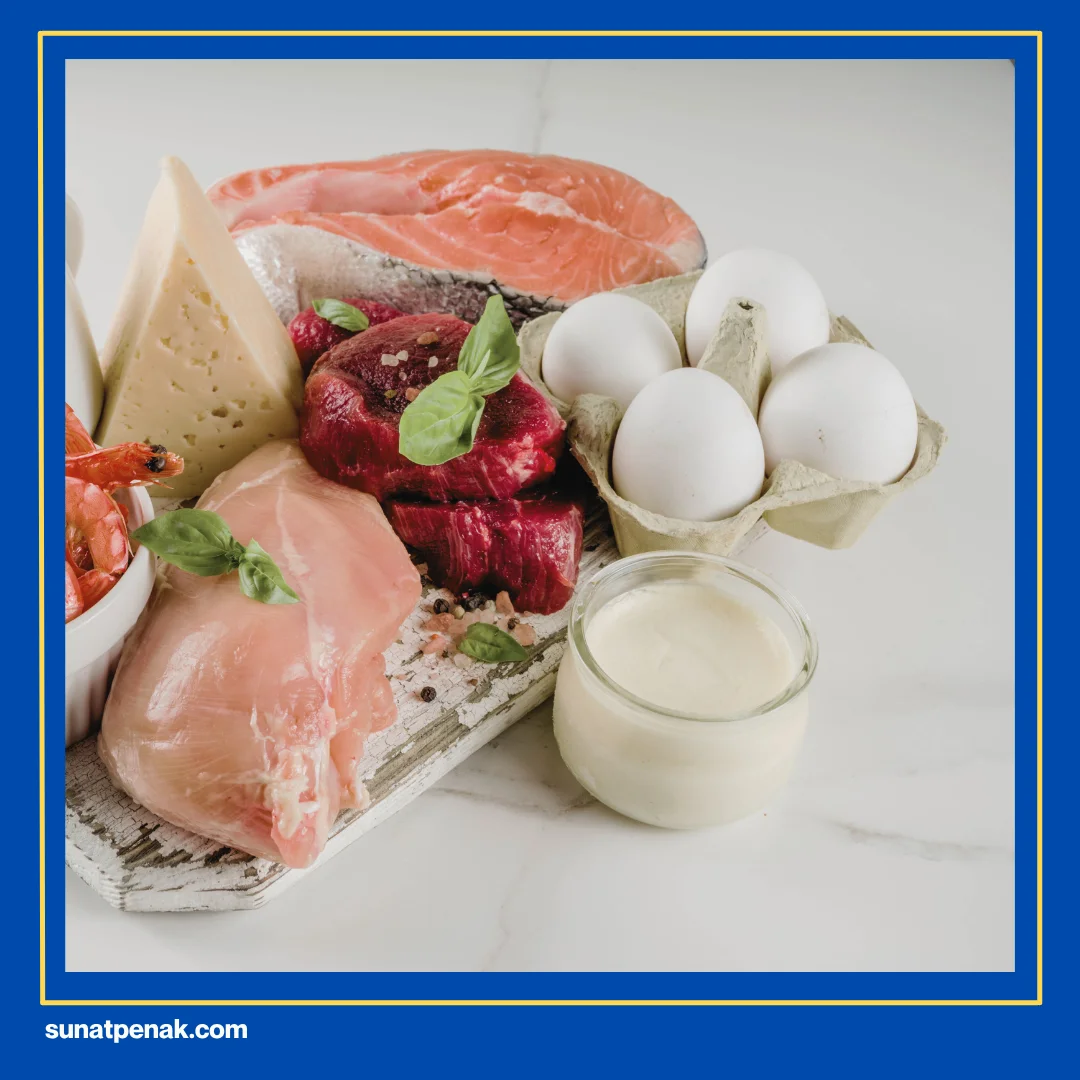 Protein Hewani 