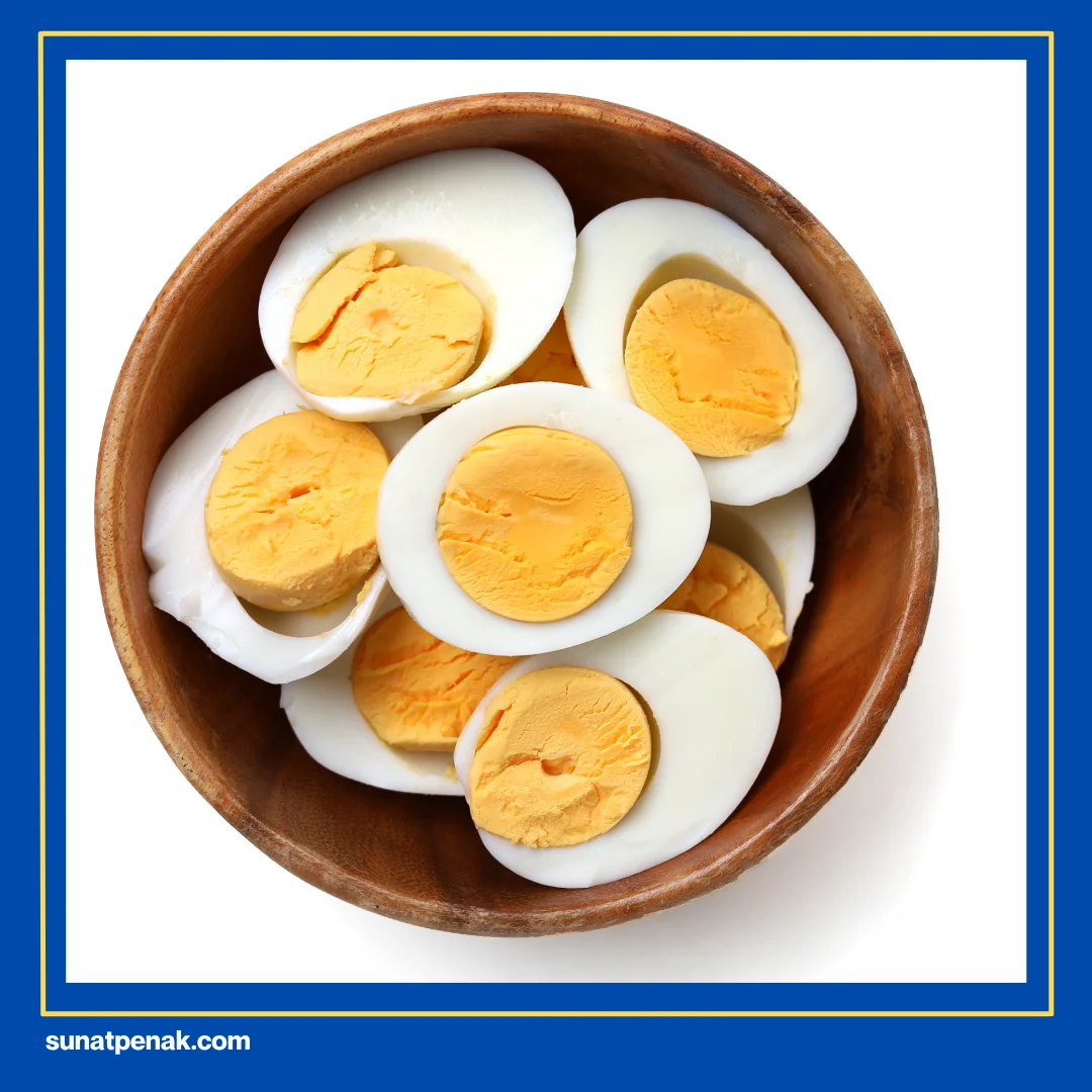 Sumber Protein Berkualitas Tinggi