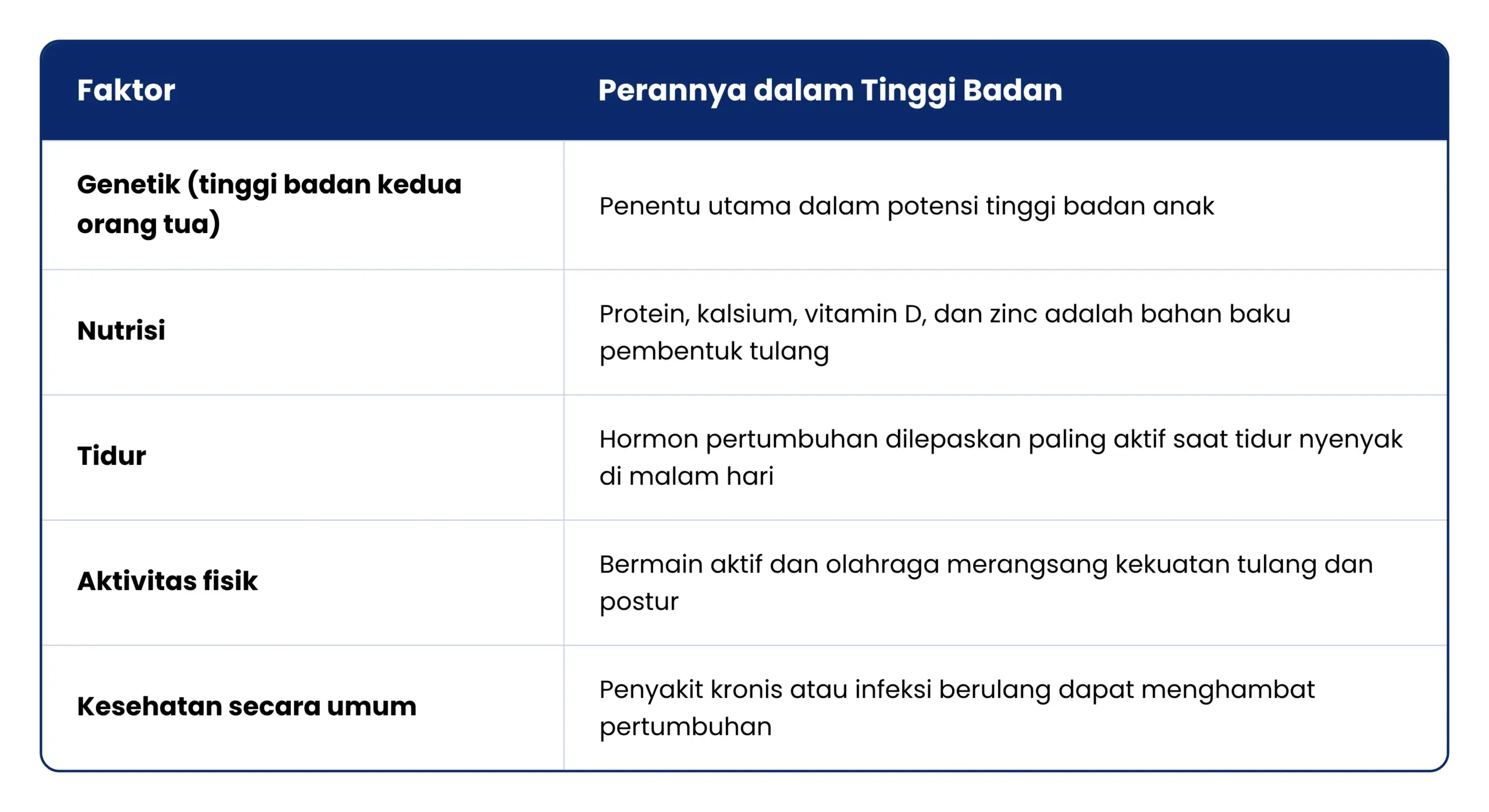 Penentu Tinggi Anak